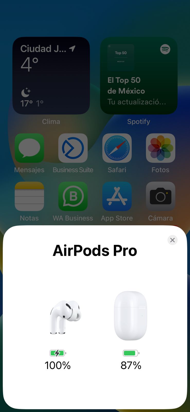 Airpods pro 2 OEM